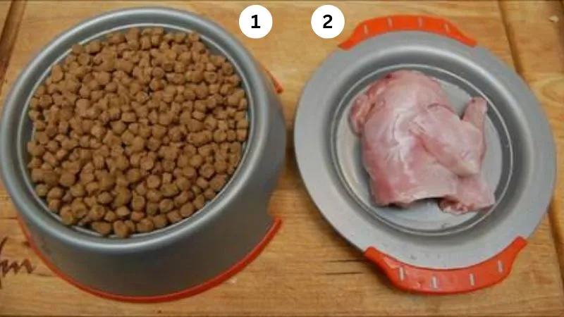 raw feed a cat, appropriate for your cat's specific health