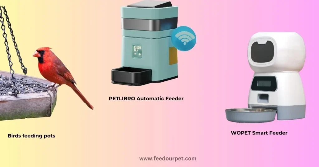 A modern programmable pet feeder dispensing food for a cat, showcasing its digital timer and portion control features.