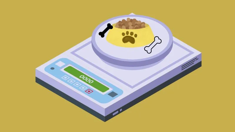 Tips for accurately measuring your dog's food to ensure proper portion control and maintain a healthy diet, using tools like measuring cups or a food scale.