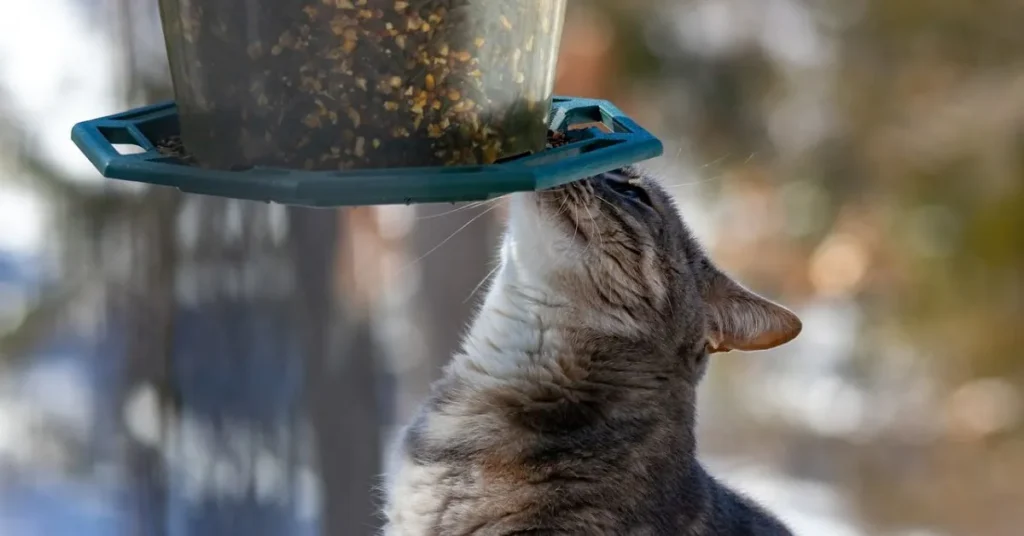 A gravity pet feeder makes feeding pets simple by automatically refilling their bowls. It’s easy to use, reliable, and a great option for busy pet owners.